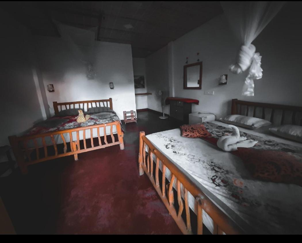 Ella New Green View エクステリア 写真